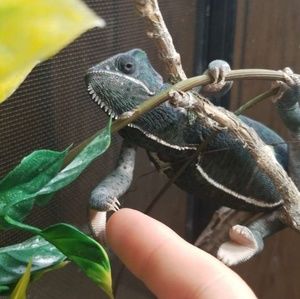 Meet your Posher, Kassidy